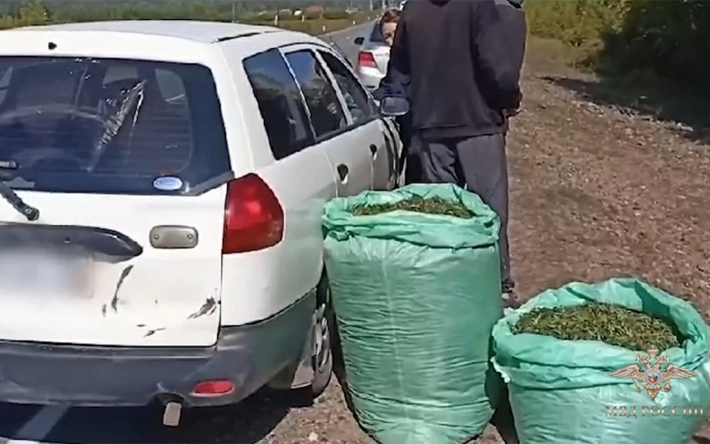 Внимательнее относитесь к багажу попутчика! Поучительное видео