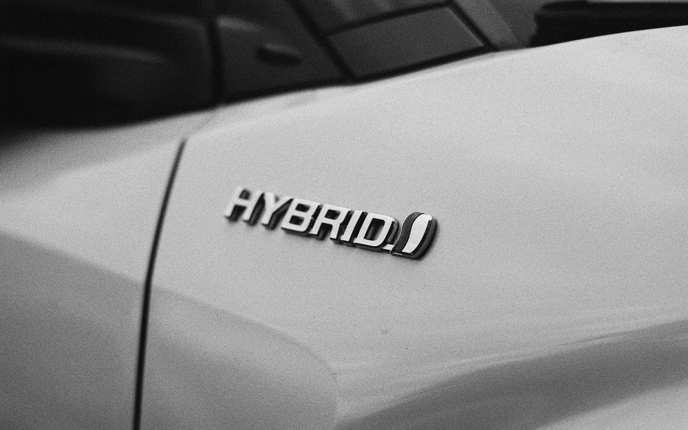 «Электричка» или гибрид - что выбирают россияне?