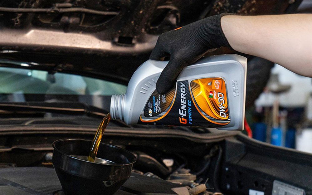 Фото: Анна Фомина