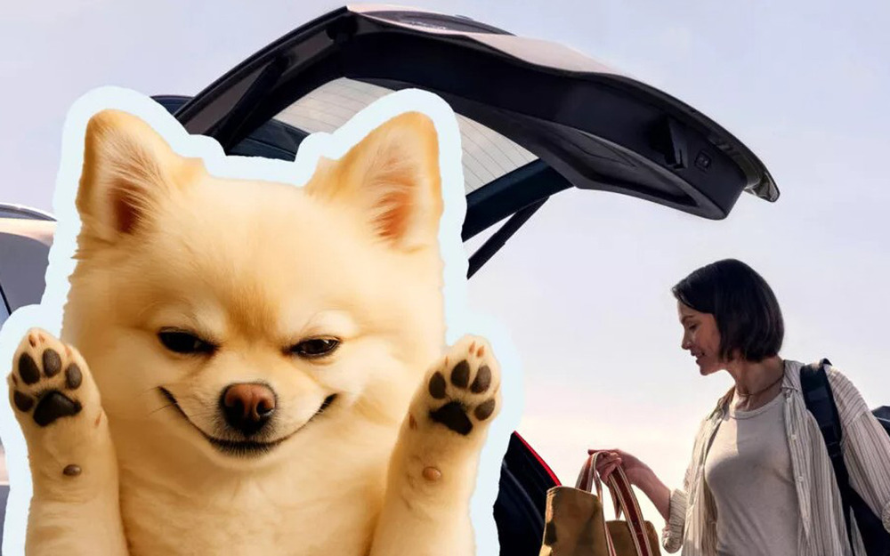 Как собака привела компанию Volvo в суд из-за удара багажником по голове