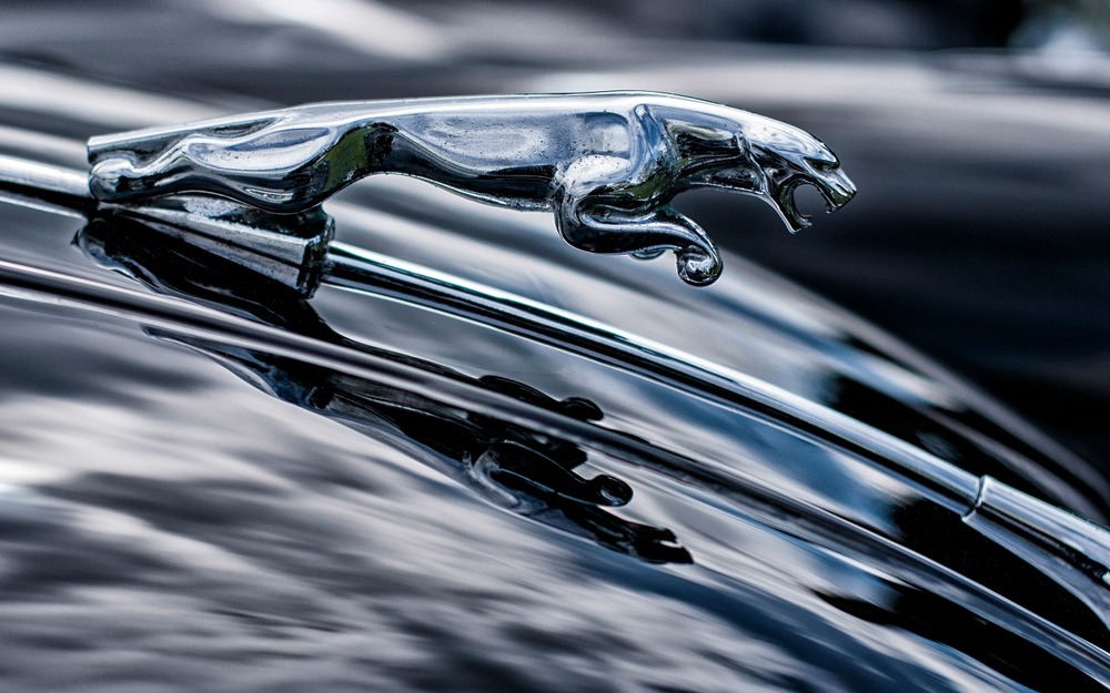 Jaguar зарегистрировал свой логотип на российском рынке