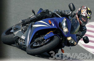 Голубая кровь, белая кость