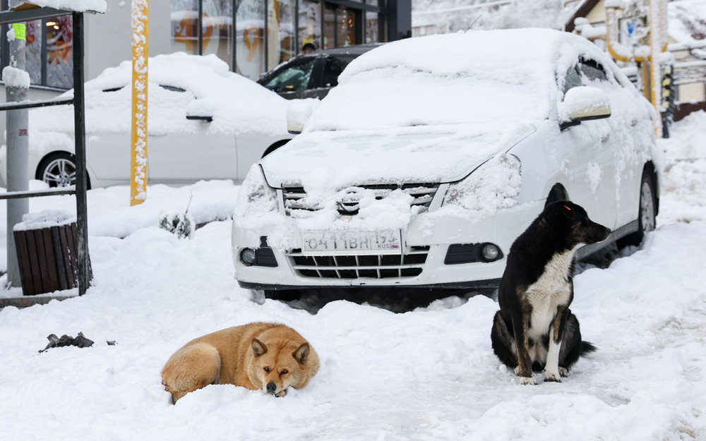 Зимние сугробы на парковках не отменяют ПДД: за это нарушение легко прилетит штраф