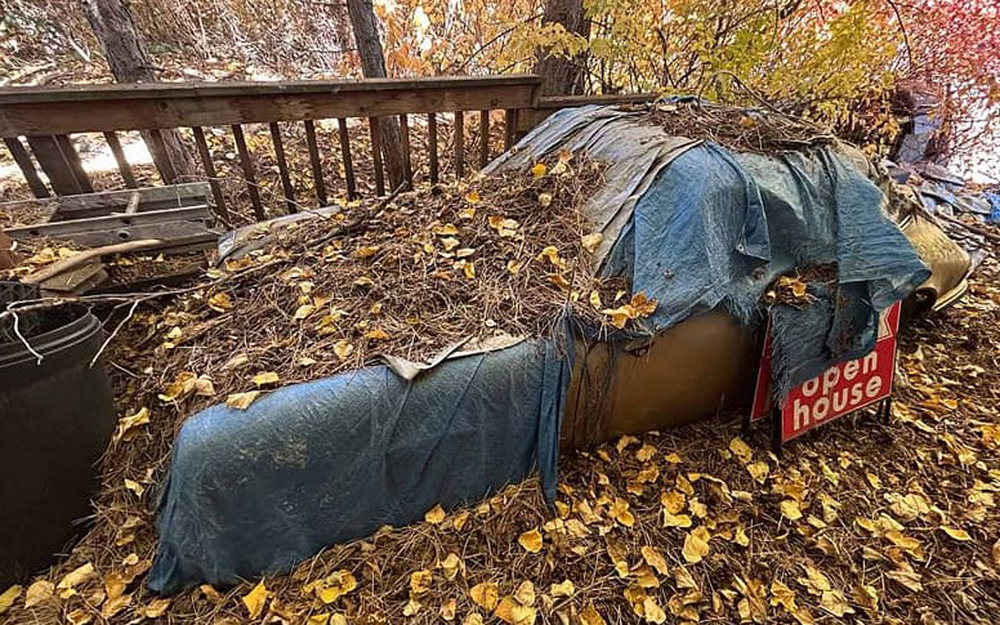 Porsche 911 30 лет проспал под сосновыми иголками, и вот что в итоге