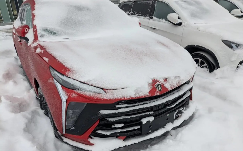 Белорусский Zubr - стало известно, где сейчас эти машины