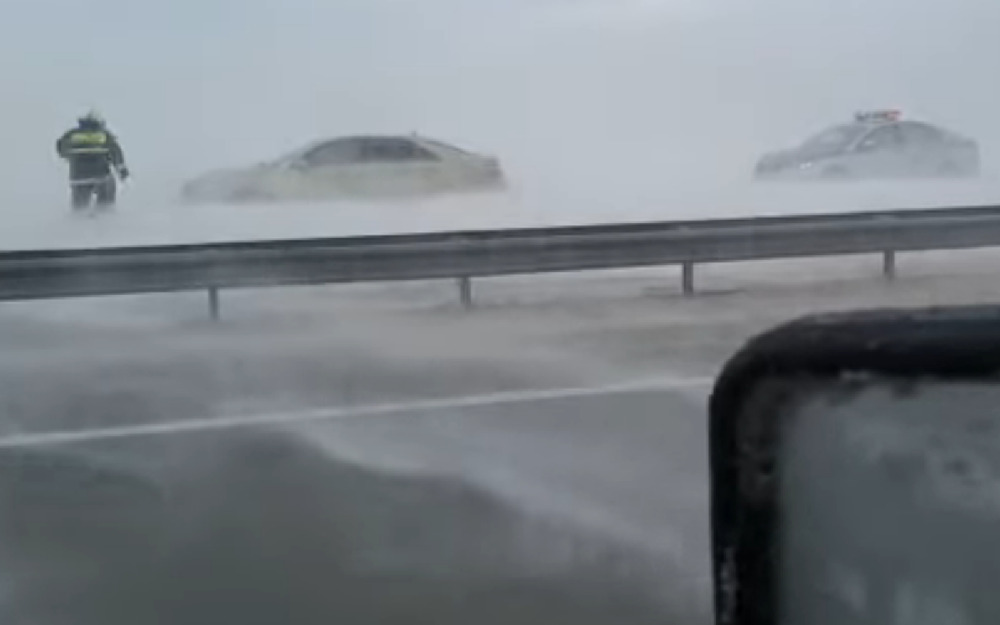 Автомобили застряли посреди страшной метели (видео)