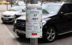 Регионам рекомендовали перенять опыт Москвы по созданию платных парковок