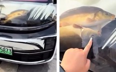 Аквариум под капотом Li Auto L9