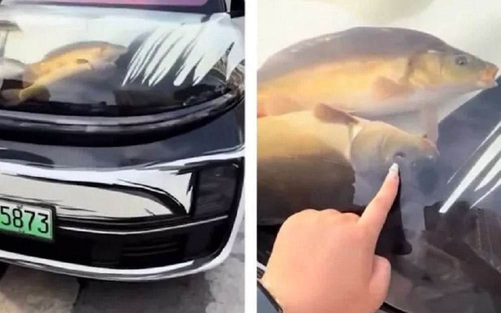 Аквариум под капотом Li Auto L9