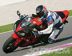 Настоящих буйных мало