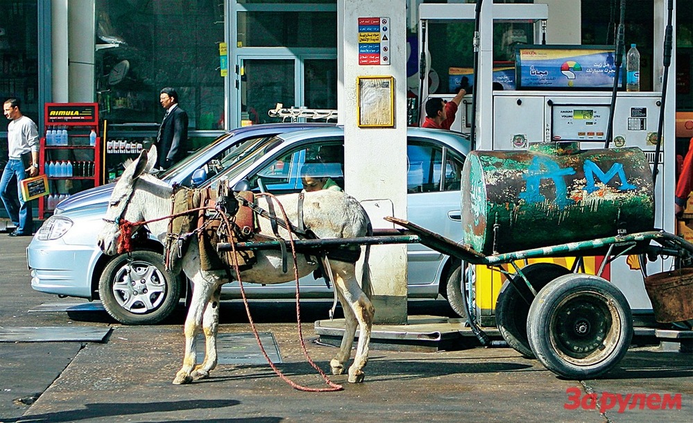 АЗС: карты, деньги, два ствола