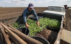 На дачу без последствий: 6 главных промахов при поездках по проселочным дорогам