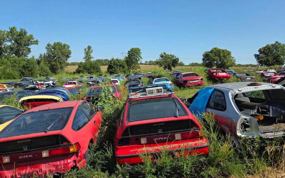 Более 200 раритетных Honda стоят в открытом поле, но они не бесхозные