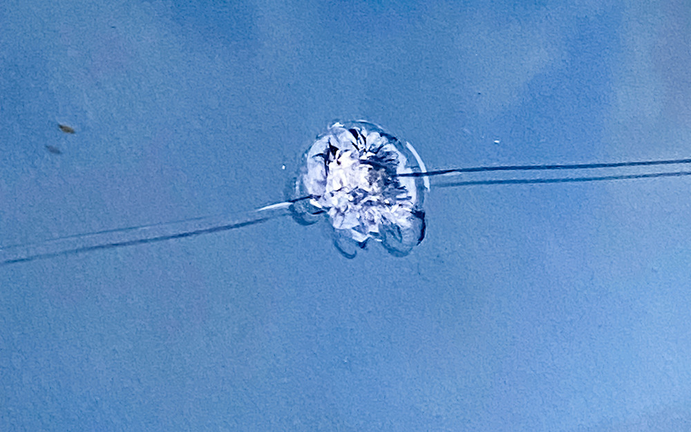 Сколько стоит хороший обзор? Проверили!