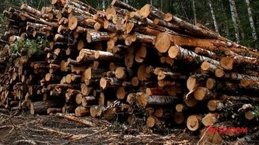 строительство дороги