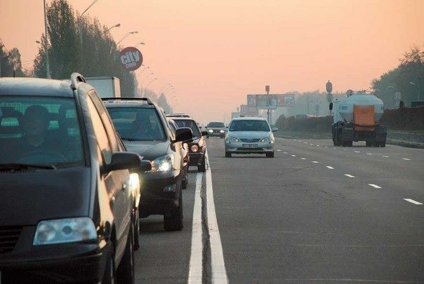 Чаще всего россияне нарушают общественный порядок и ПДД
