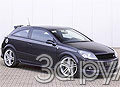 Steinmetz Astra GTC. Белым по черному