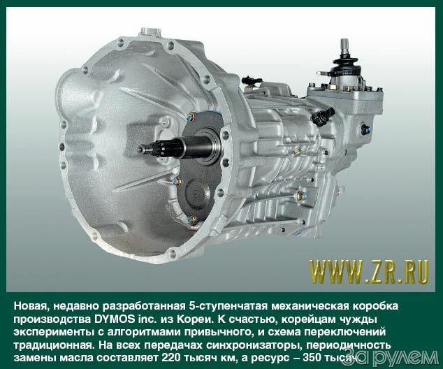 Зимняя спячка