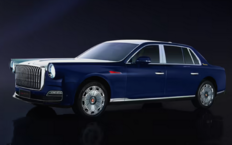 Hongqi Golden Sunflower Guoli Lanting Yayun