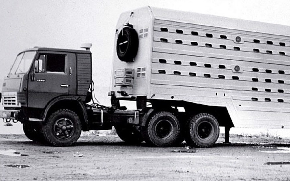 Полуприцеп‑скотовоз ОдАЗ‑9979