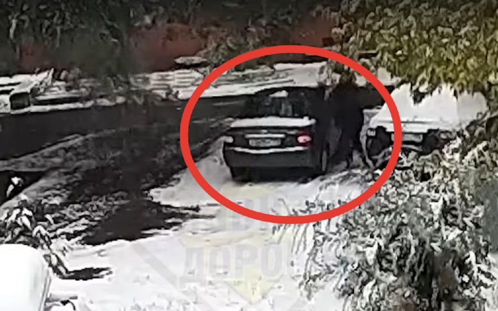 Зима подкралась незаметно: чистил машину - едва не пришибло веткой (видео)