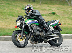 Член партии "зеленых"