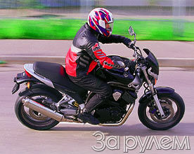 Рык бульдога