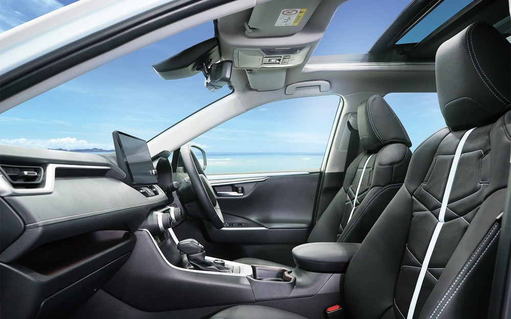 Интерьер Mitsuoka Buddy