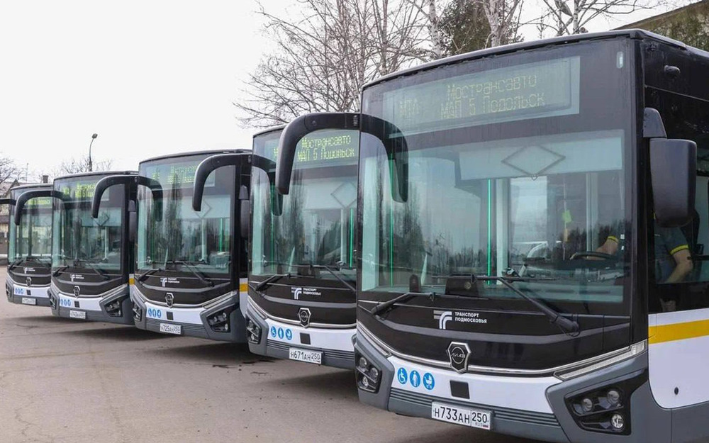 Citymax 12