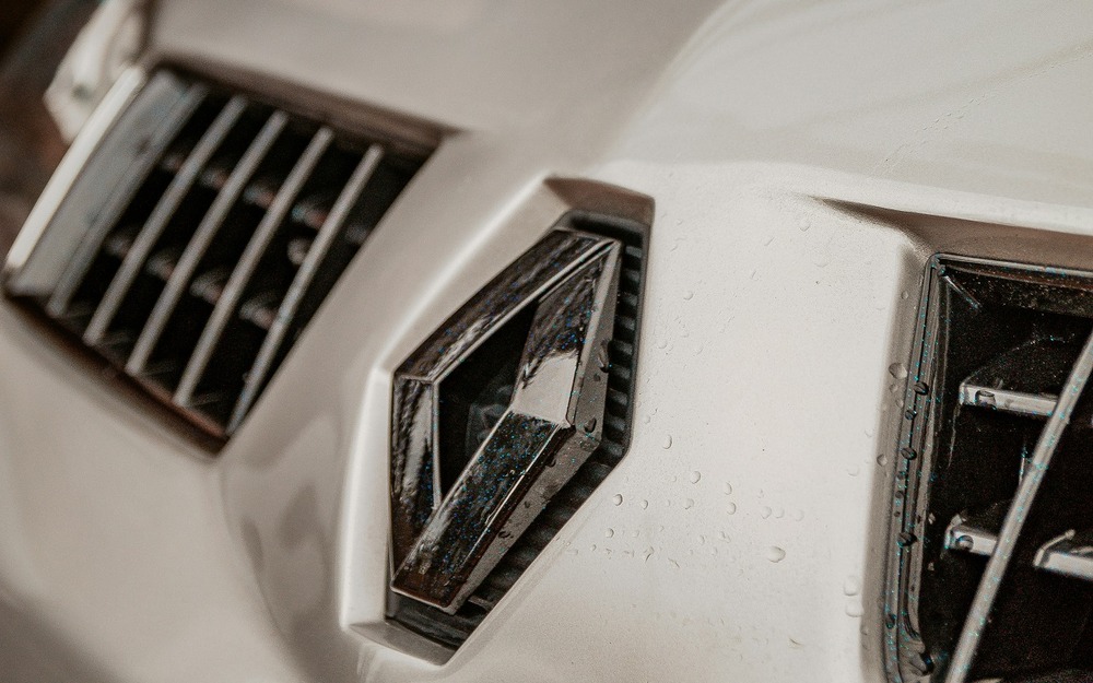 В новой модели АВТОВАЗа нашли детали с логотипами Renault