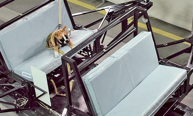 Subaru: «Безопасность четвероногих пассажиров требует более пристального внимания»