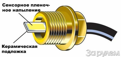 Масло оценят... на вкус