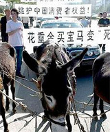 Три &quot;ослиных силы&quot; для BMW
