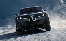 Семь новых X5 за увольнение: BMW запустил программу добровольного ухода