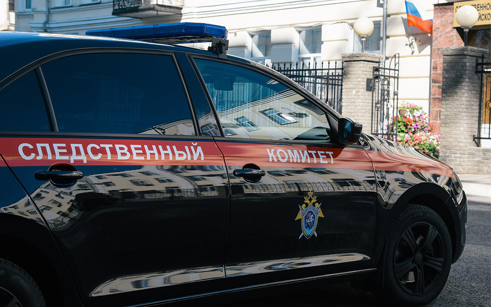 Дело «пьяного мальчика»: эксперт получил 10 месяцев