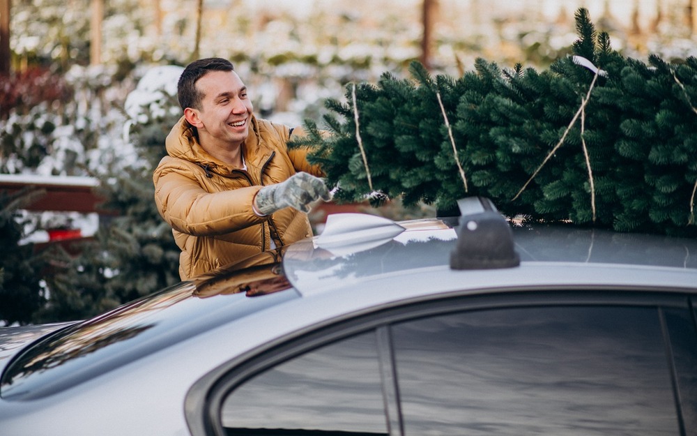 Как не получить штраф за елку: советы юриста