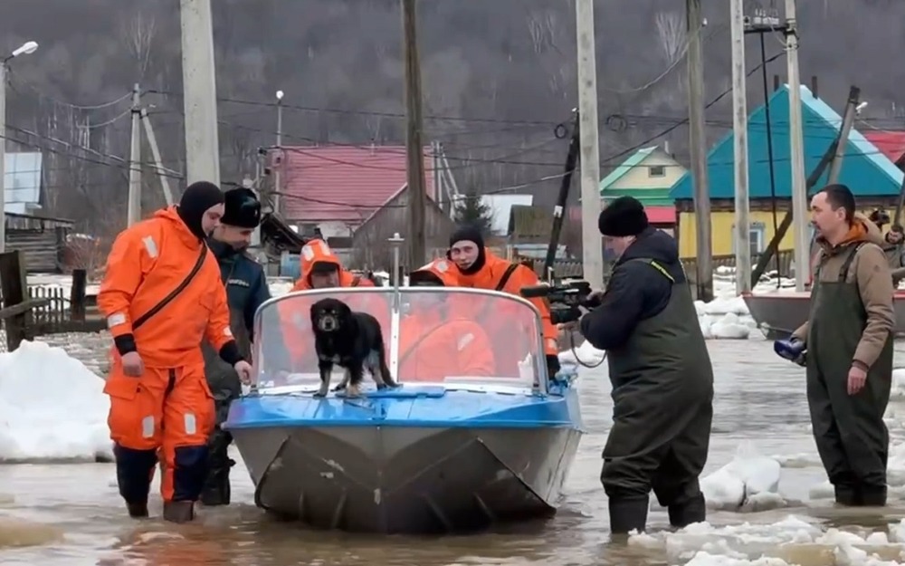 МЧС показало борьбу с паводками в регионах России (видео)
