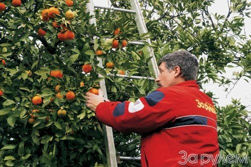 А если бы он вез патроны?
