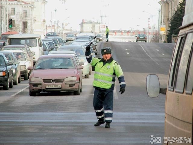 Десять «кормушек» ЦАО