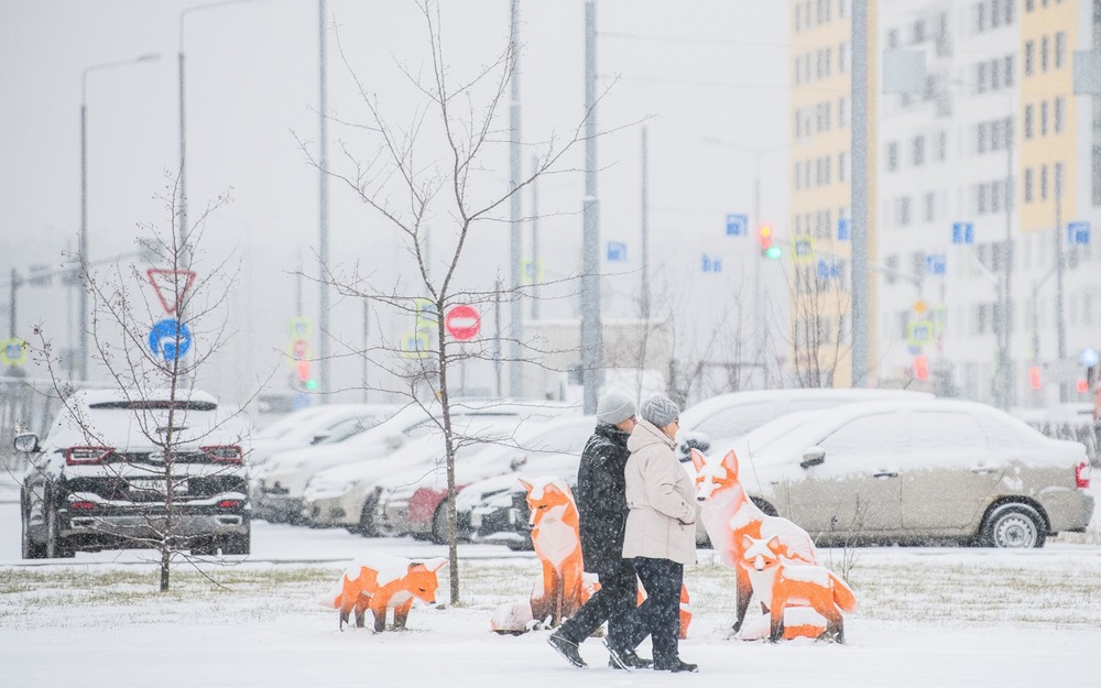 Отвоевать место у зимы - как в снег гарантированно припарковаться у дома