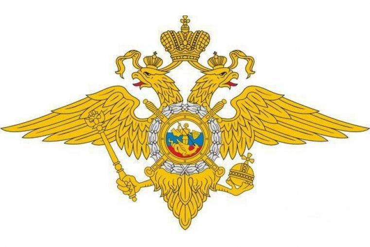 В Москве выявили сеть по продаже фальшивых водительских прав