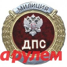 Инспектор ДПС, застреливший школьника, получил 15 месяцев