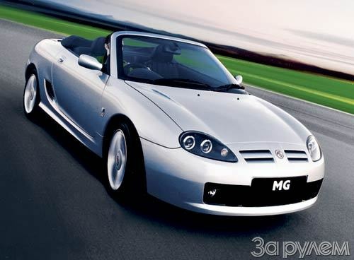 Mg-tf