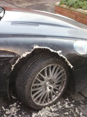 Собака съела Aston Martin DB9   